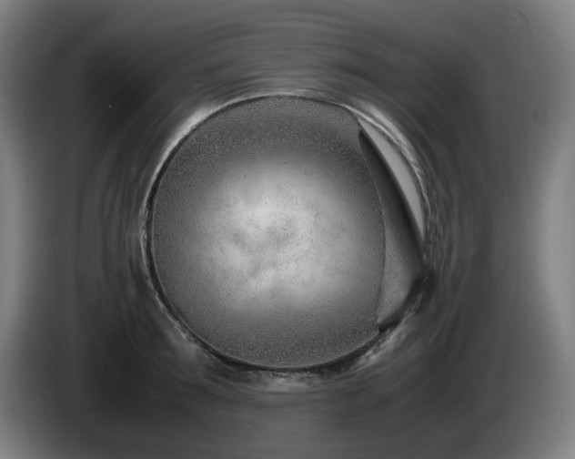 X0000085210899200703091136