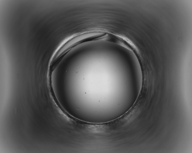 X0000085210902200703091136