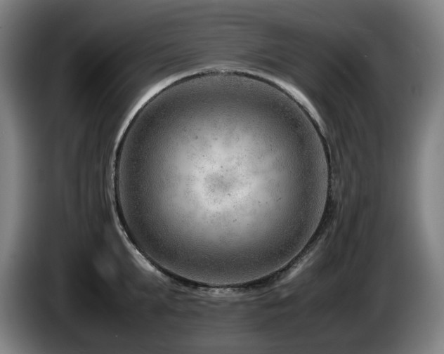 X0000085210903200703091136