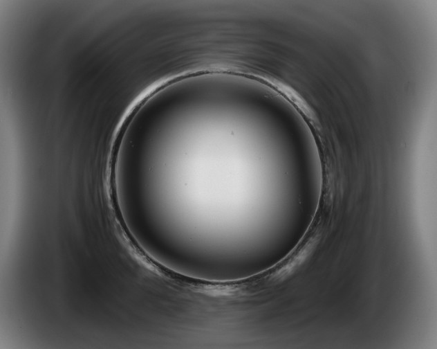 X0000085210904200703091136