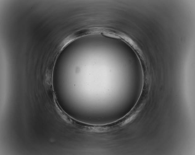 X0000085210905200703091136