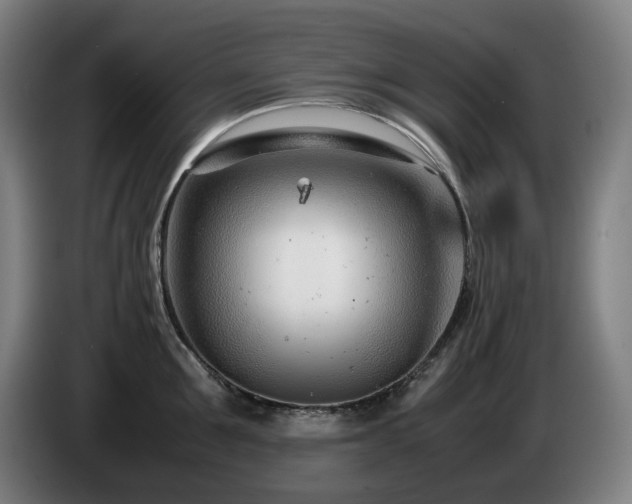 X0000085210907200703091136