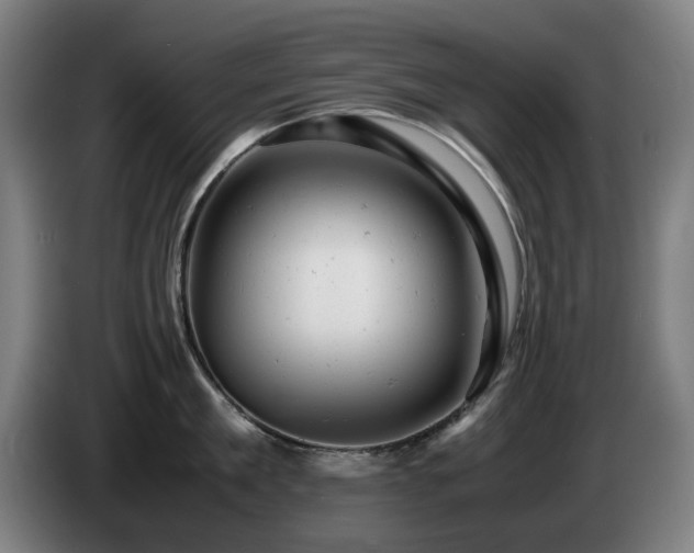 X0000085210909200703091136