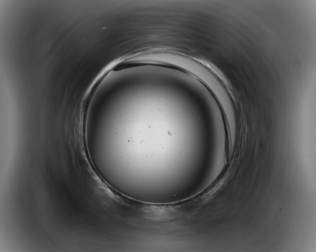 X0000085210910200703091136