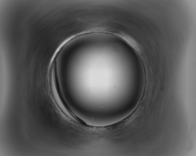 X0000085210912200703091136