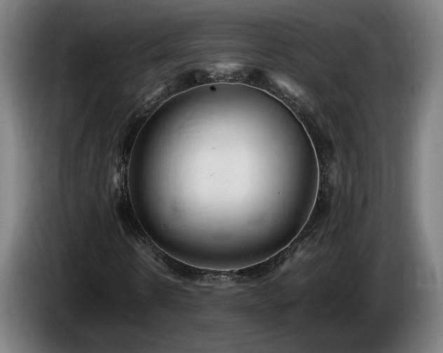 X0000085210914200703091135