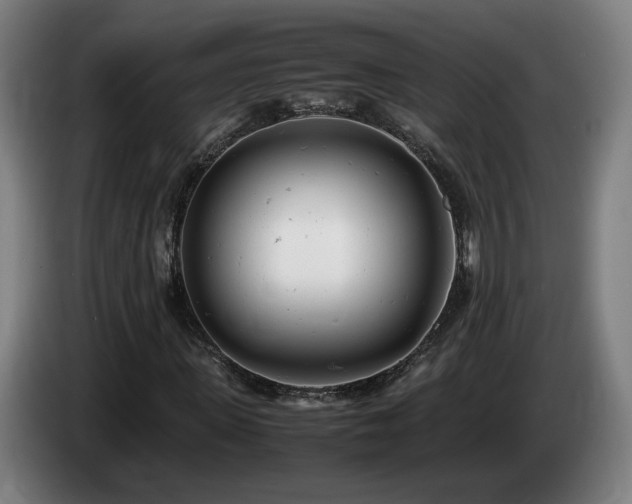 X0000085210915200703091135