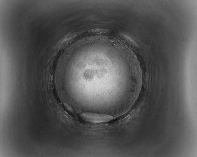 X0000085210917200703091135
