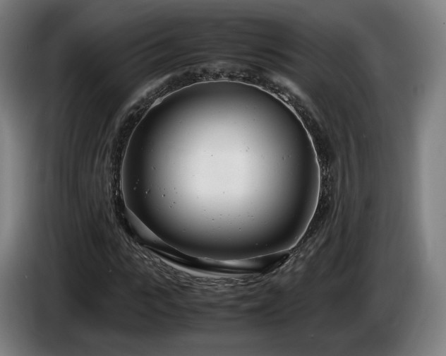 X0000085210919200703091135
