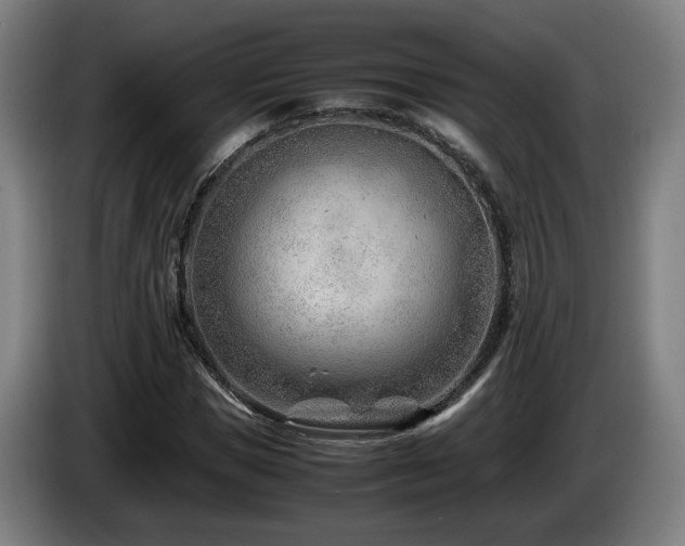 X0000085210921200703091135