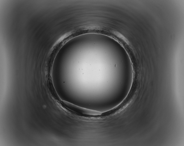 X0000085210922200703091135