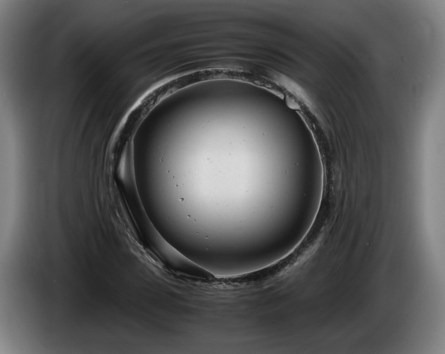 X0000085210923200703091135