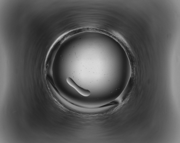 X0000085210924200703091135