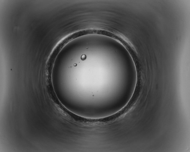 X0000085210926200703091136