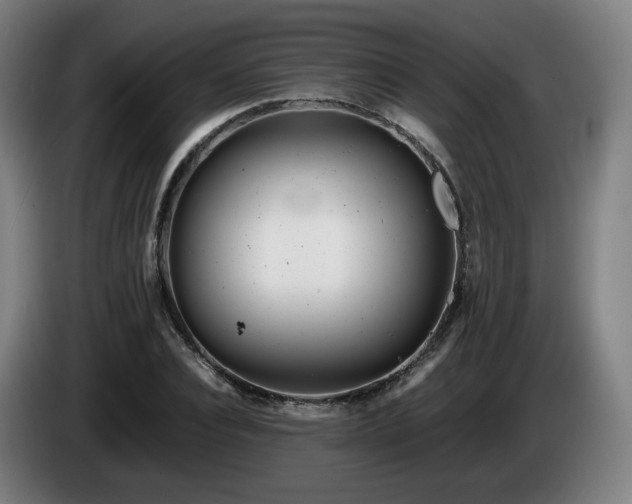 X0000085210928200703091136