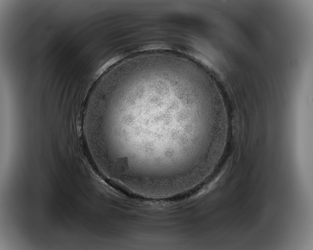 X0000085210929200703091136
