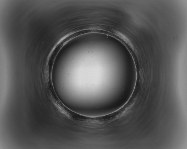 X0000085210931200703091136
