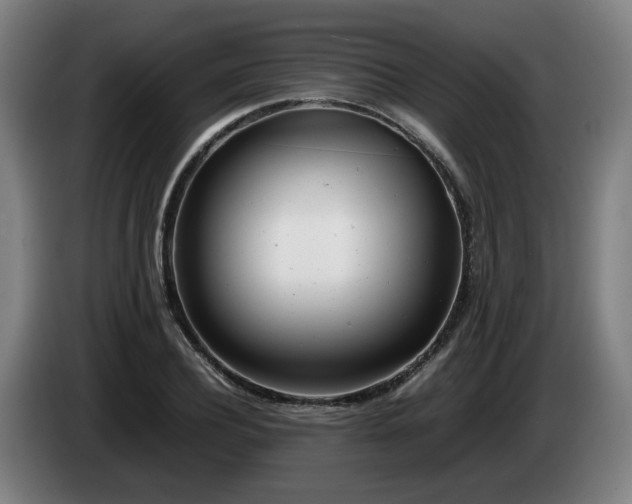 X0000085210932200703091136