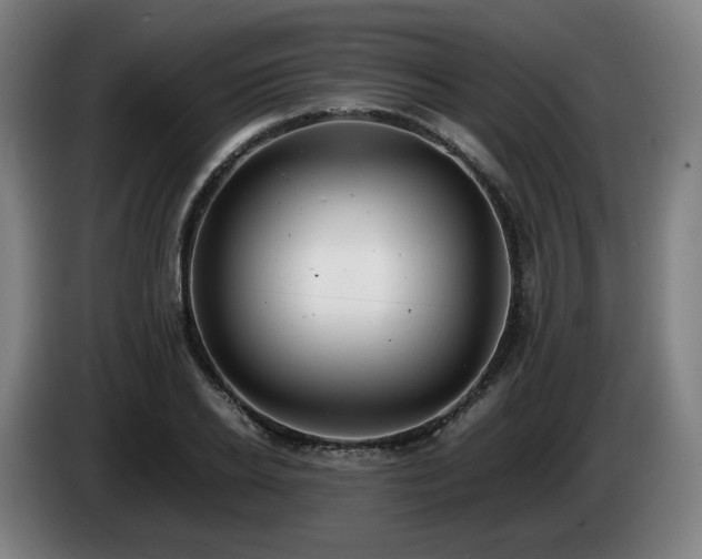 X0000085210934200703091136