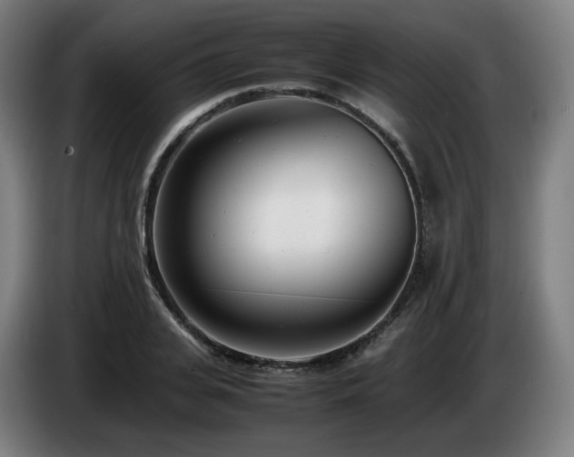 X0000085210935200703091136
