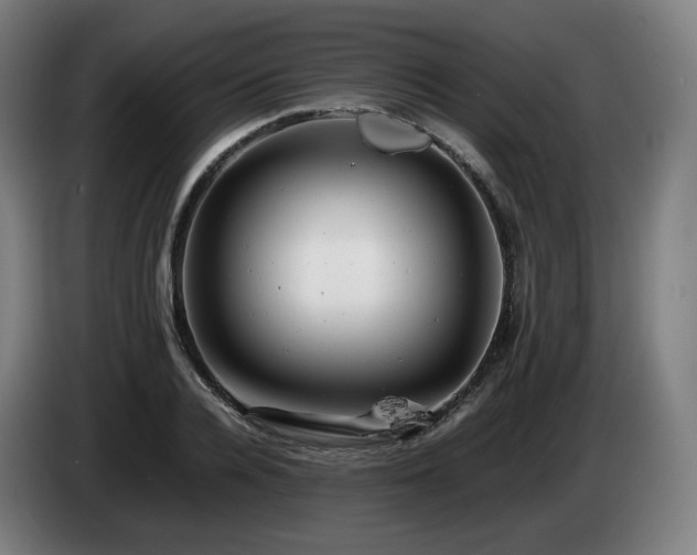 X0000085210936200703091136