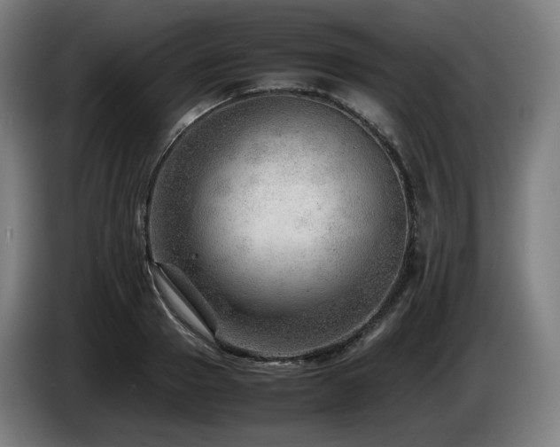 X0000085210937200703091136