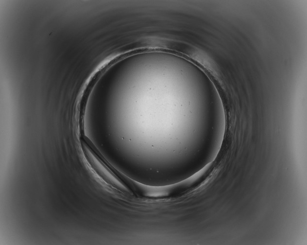 X0000085210939200703091136