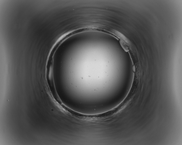 X0000085210940200703091136
