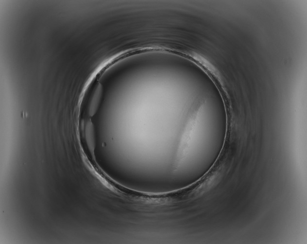 X0000085210941200703091136