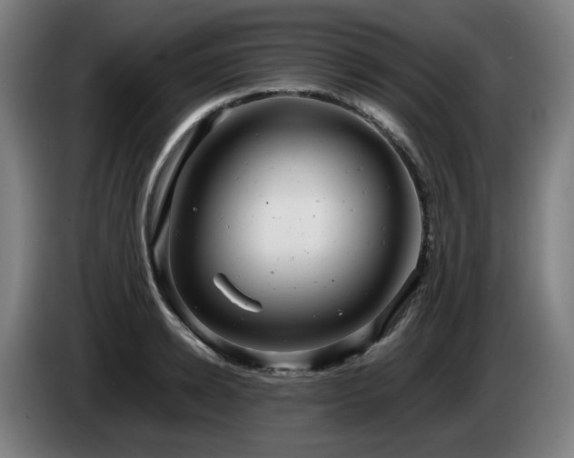 X0000085210942200703091136