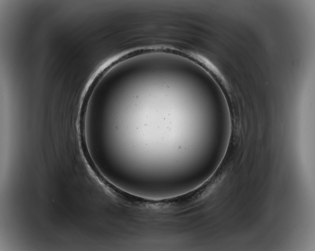 X0000085210943200703091136