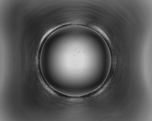X0000085210944200703091136