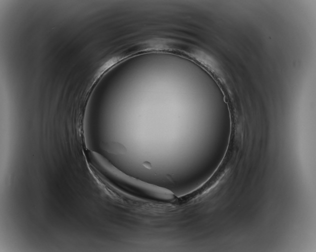 X0000085210945200703091136