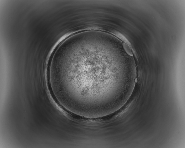 X0000085210947200703091136