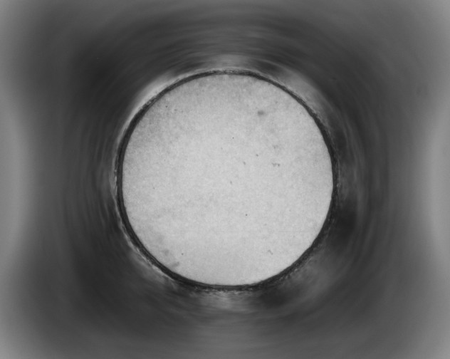 X0000085210950200703091136