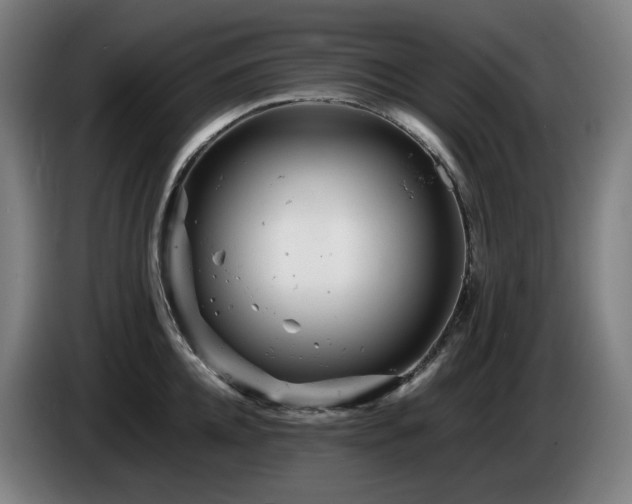 X0000085210952200703091136