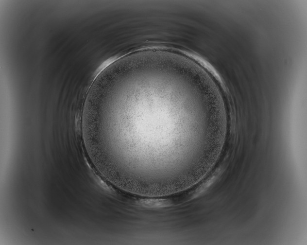 X0000085210953200703091136