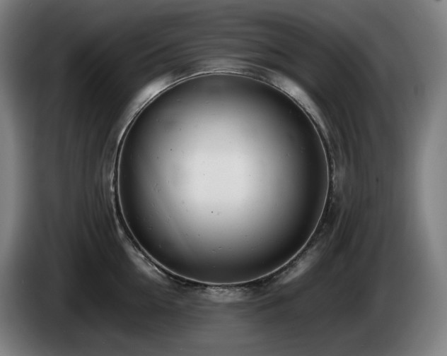 X0000085210954200703091136