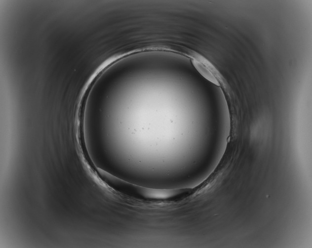X0000085210955200703091136