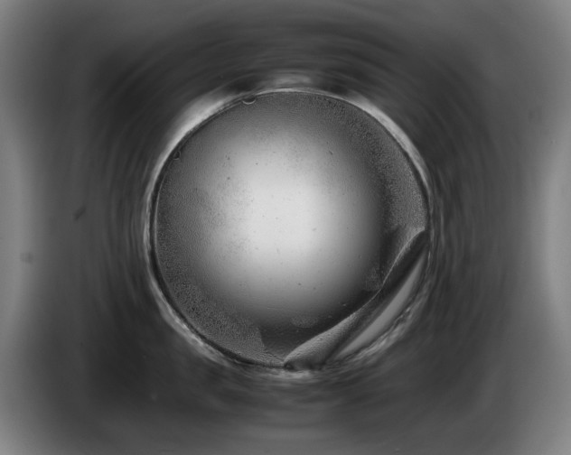 X0000085210957200703091136