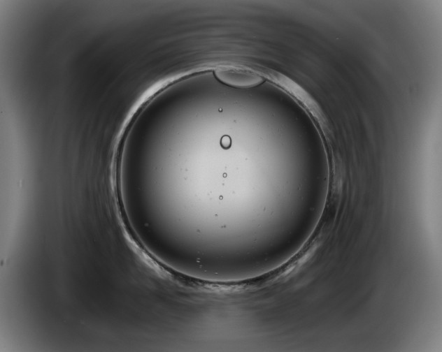 X0000085210958200703091136