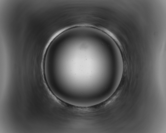 X0000085210959200703091136