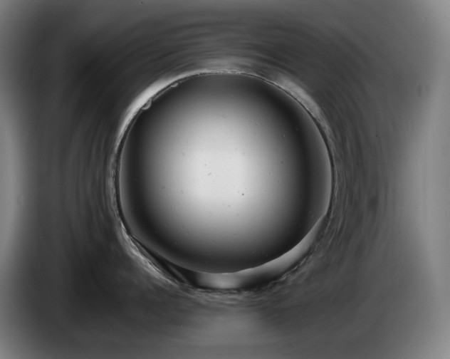 X0000085210960200703091136