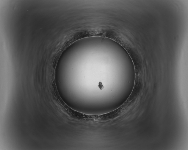 X0000085210961200703091135