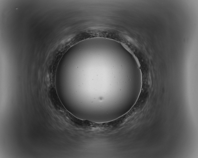 X0000085210965200703091135