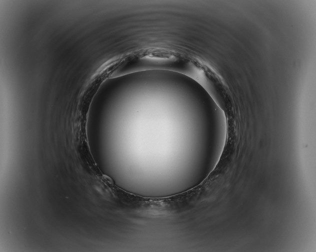 X0000085210968200703091135