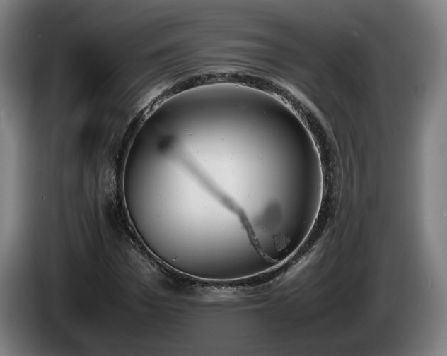 X0000085210969200703091135