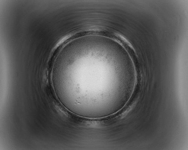 X0000085210970200703091135