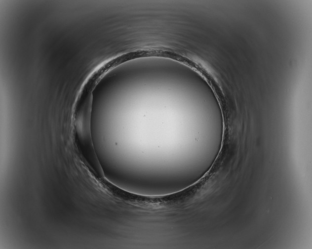 X0000085210975200703091135