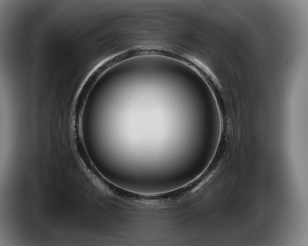 X0000085210976200703091135